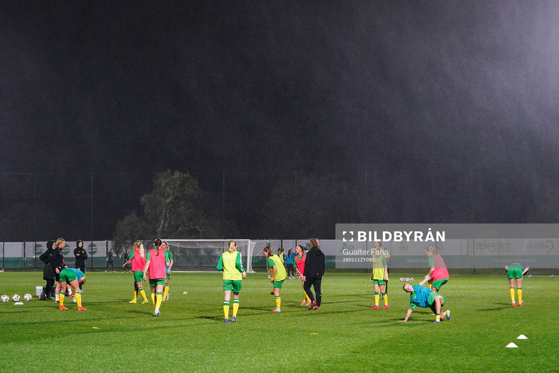 players of Hammarby