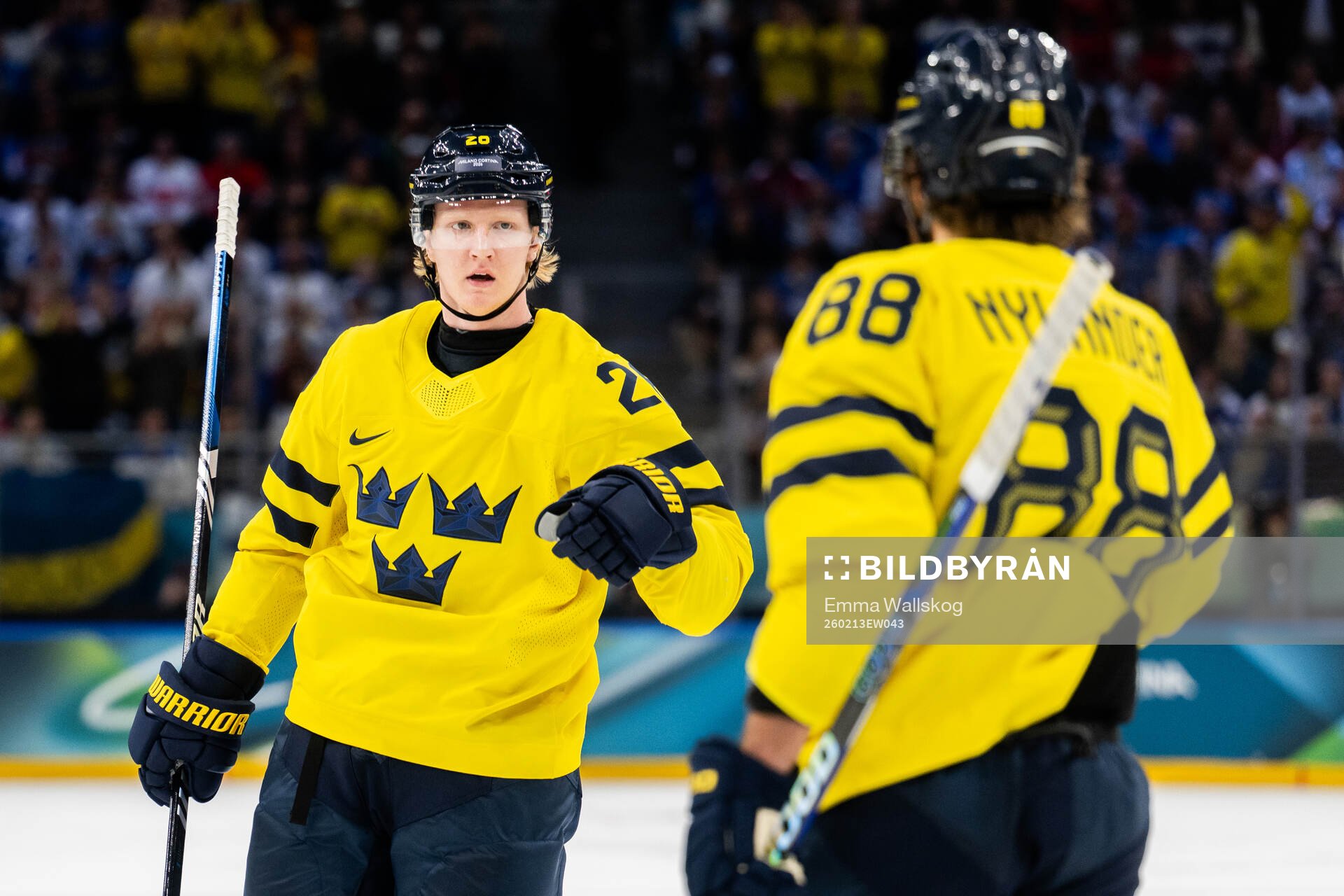 Rasmus Dahlin and William Nylander of Sweden celebrate