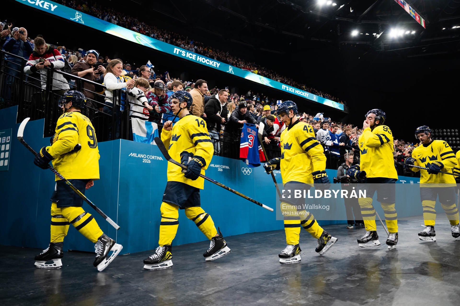 Gabriel Landeskog, Joel Eriksson Ek, goaltender Filip