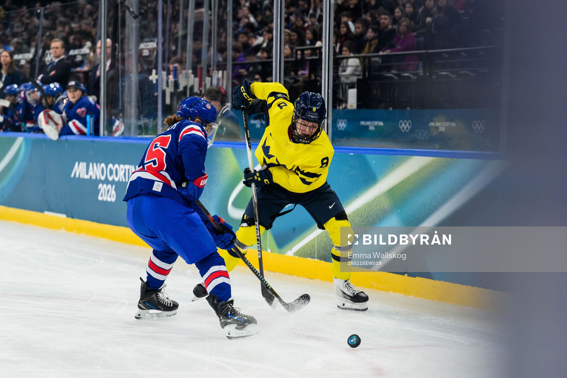 Alex Carpenter of USA and Hilda Svensson of Sweden in the
