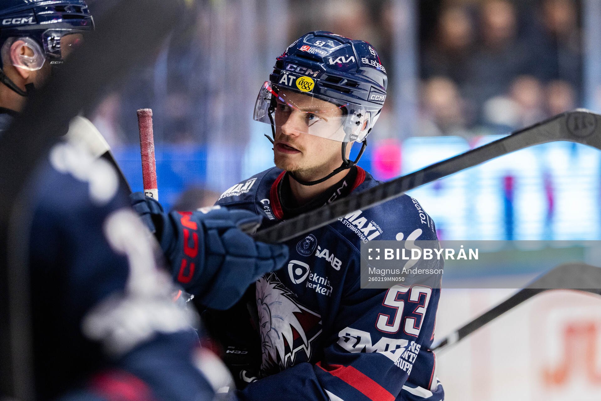 Linköpings Adam Hofbauer