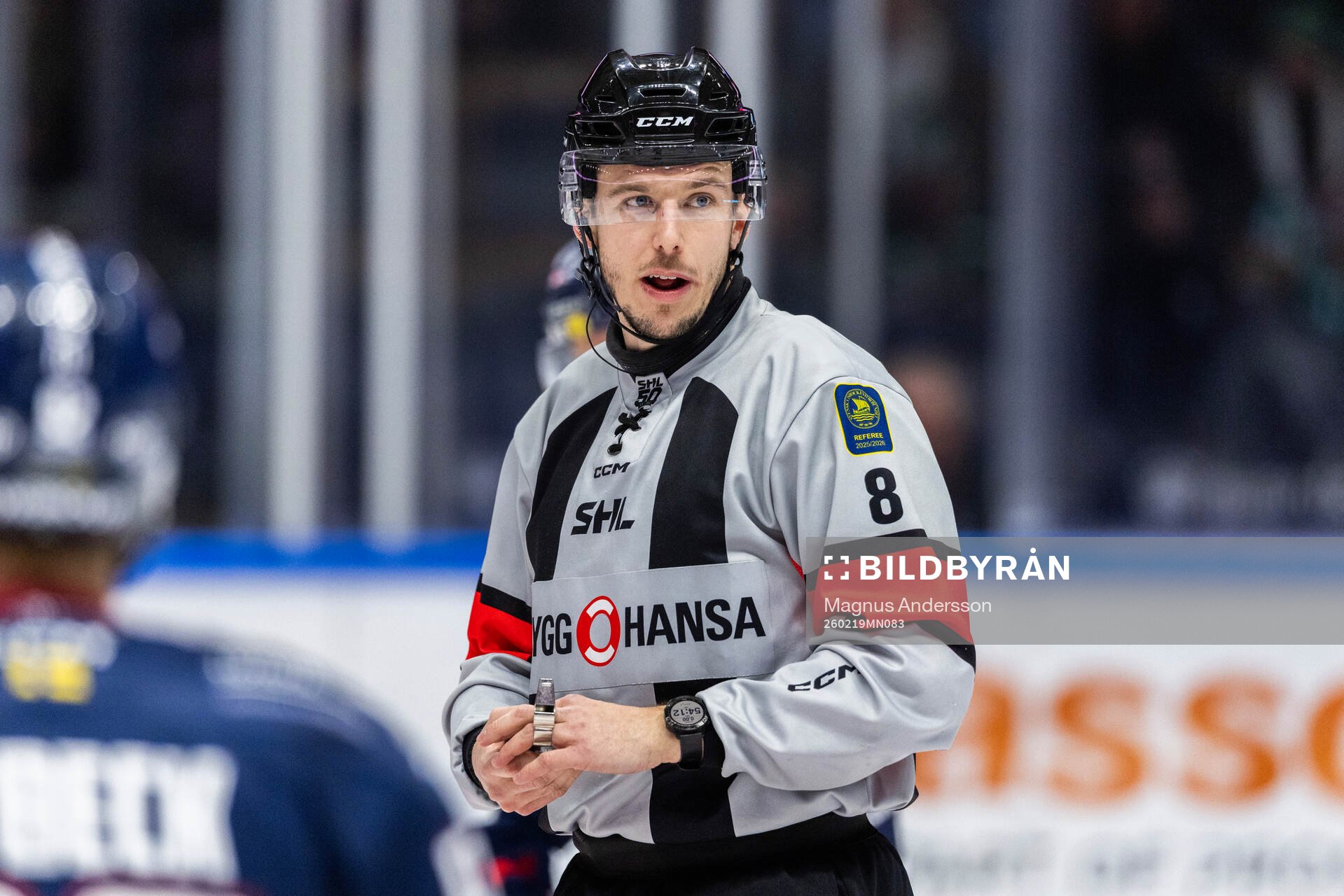 Domare Oscar Niklasson