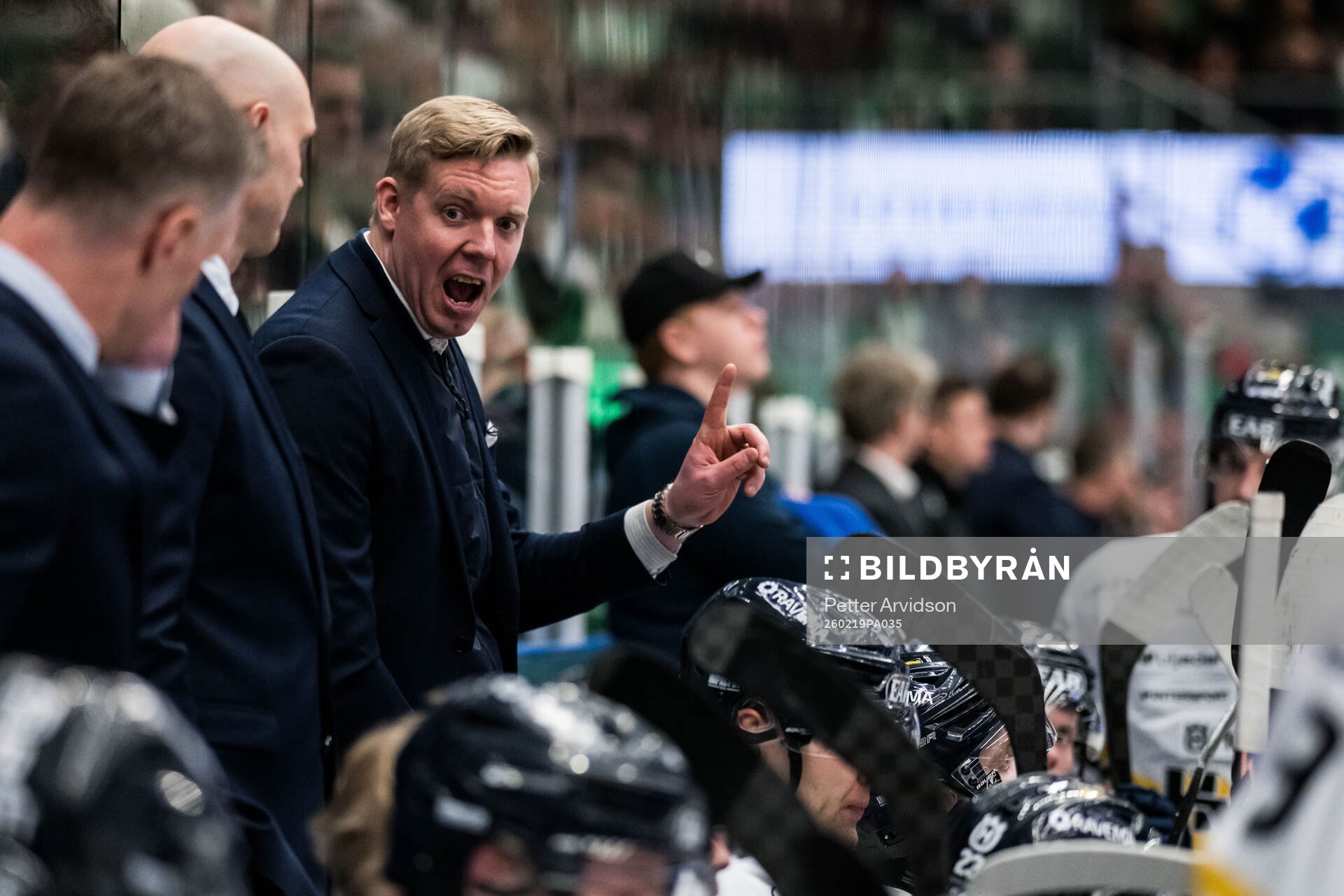 HV71s tränare Anton Blomqvist