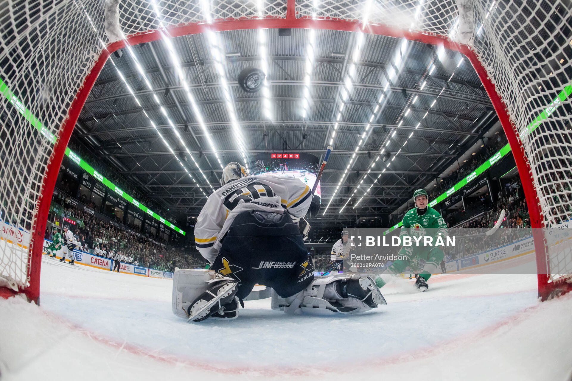 HV71s målvakt Felix Sandström och Rögles Felix Nilsson