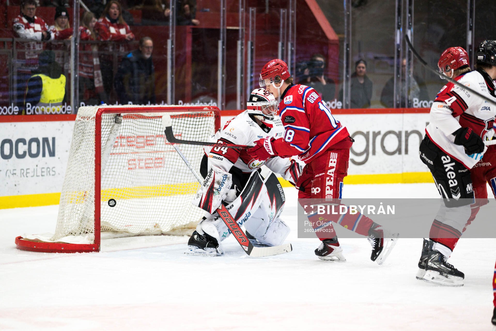 Timrås Alfons Freij och Malmö Redhawks målvakt Marek