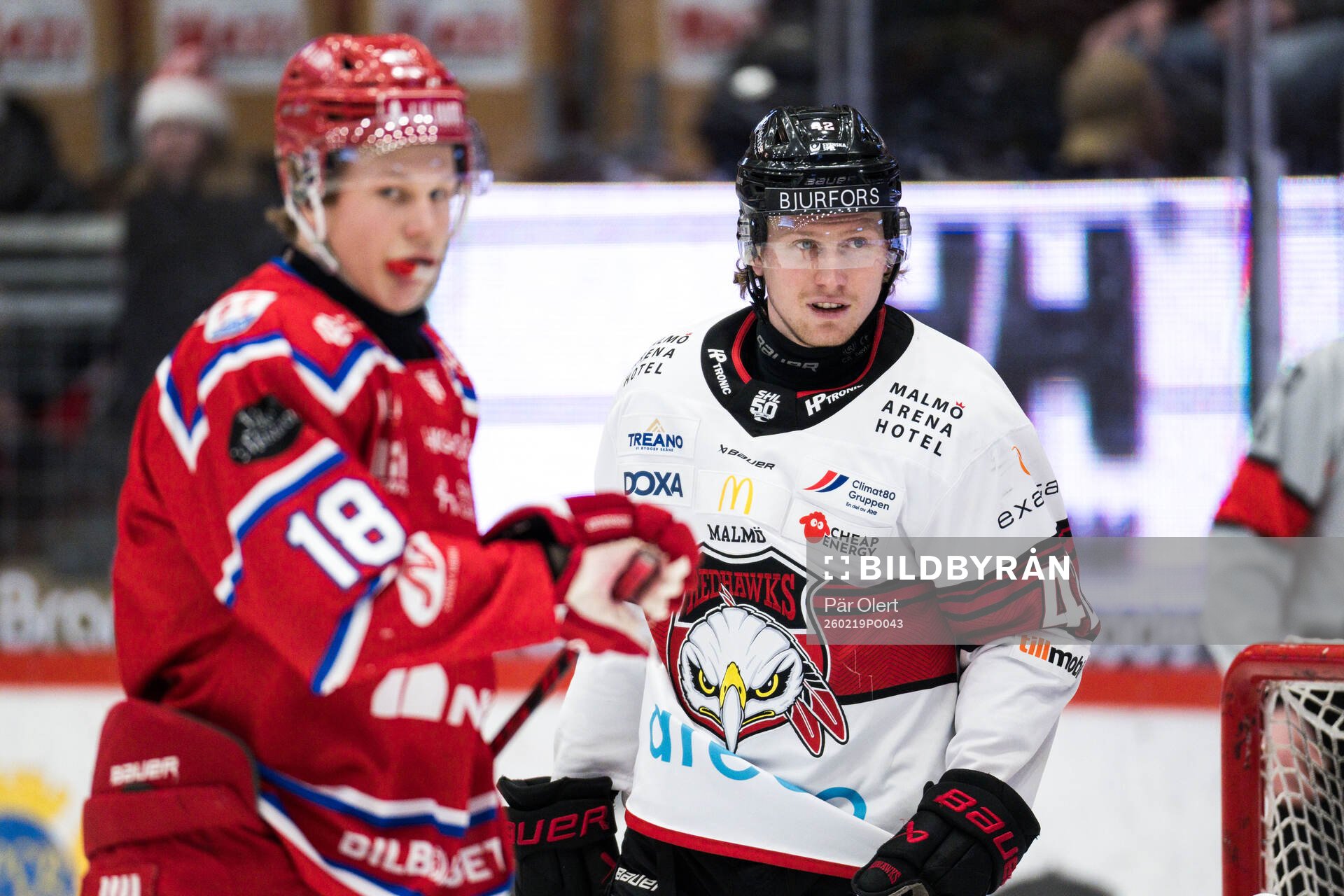 Malmö Redhawks Robin Salo