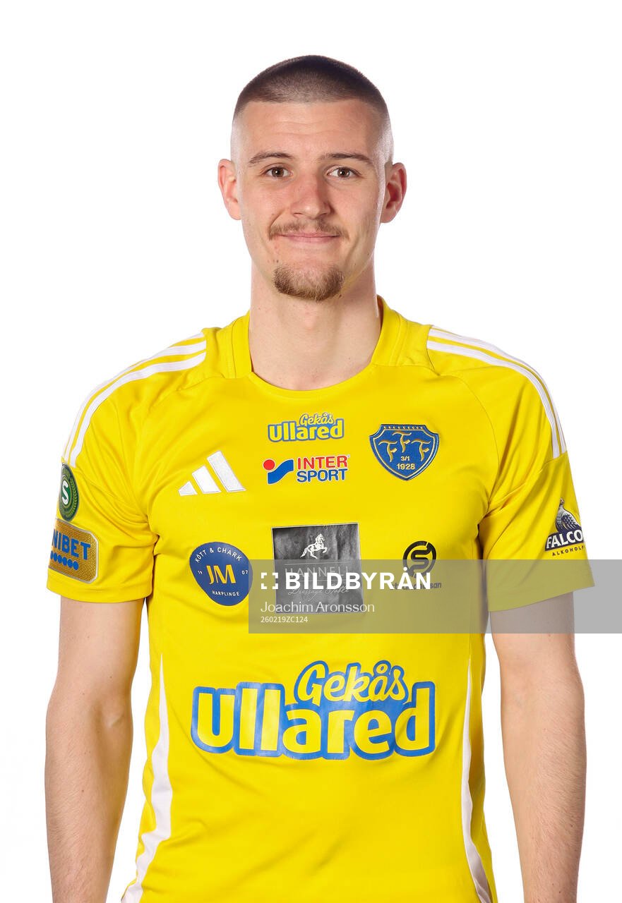 Falkenbergs William Videhult
