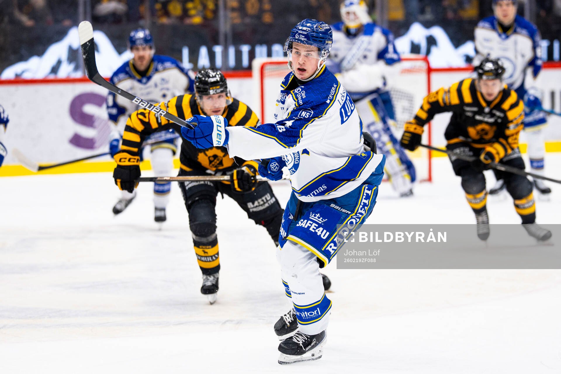 Leksands Tinus Luc Koblar