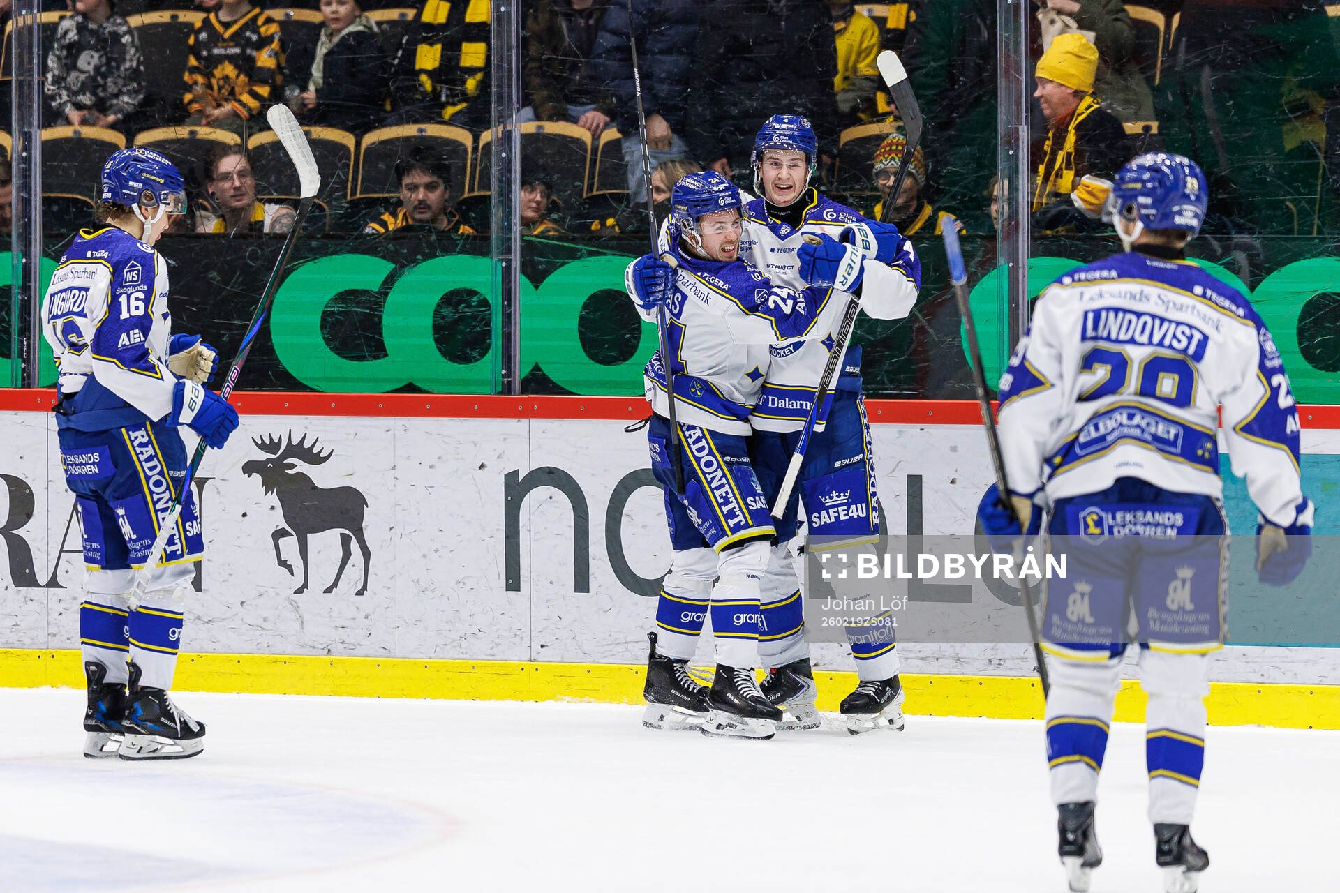 Leksands Tinus Luc Koblar jublar