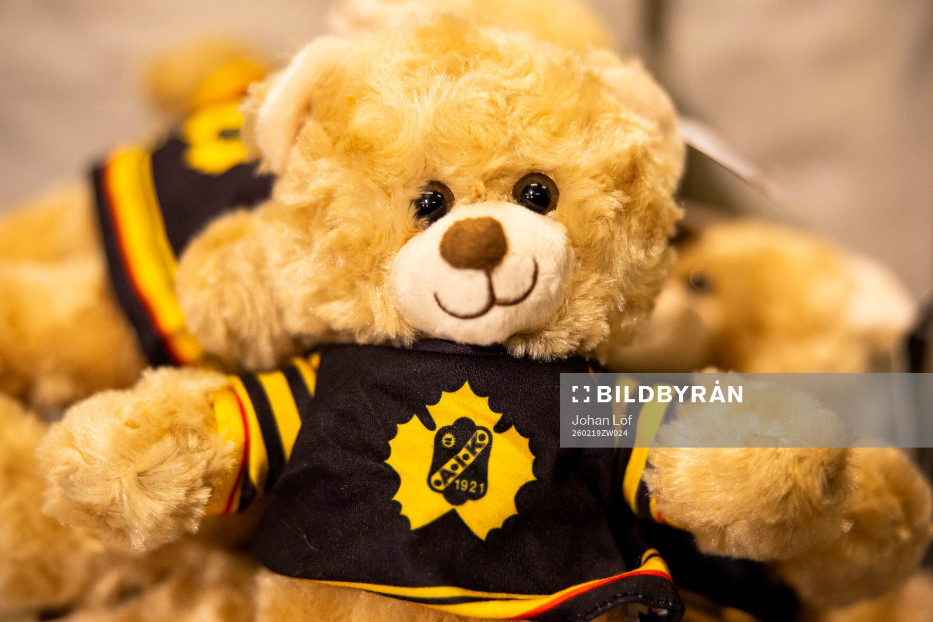 Skellefteå teddybjörn