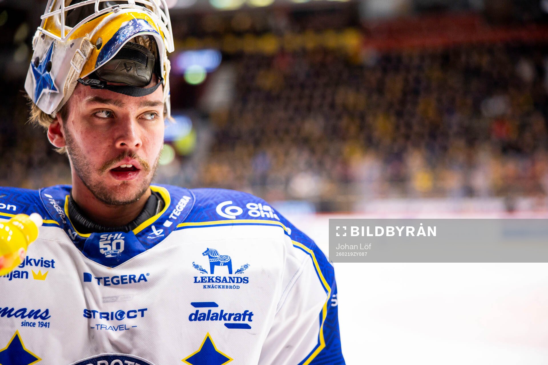 Leksands målvakt Marcus Gidlöf