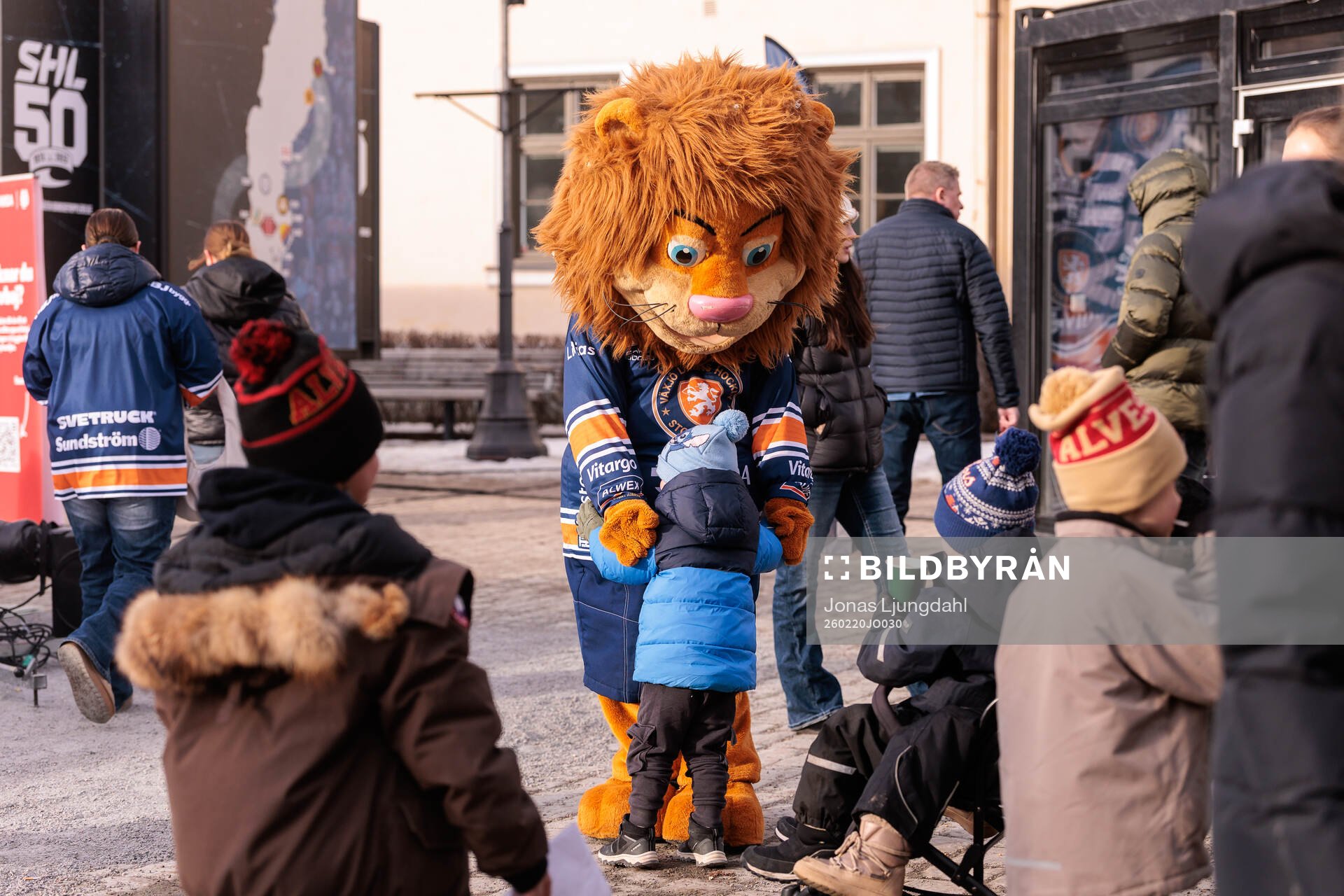 Växjös maskot