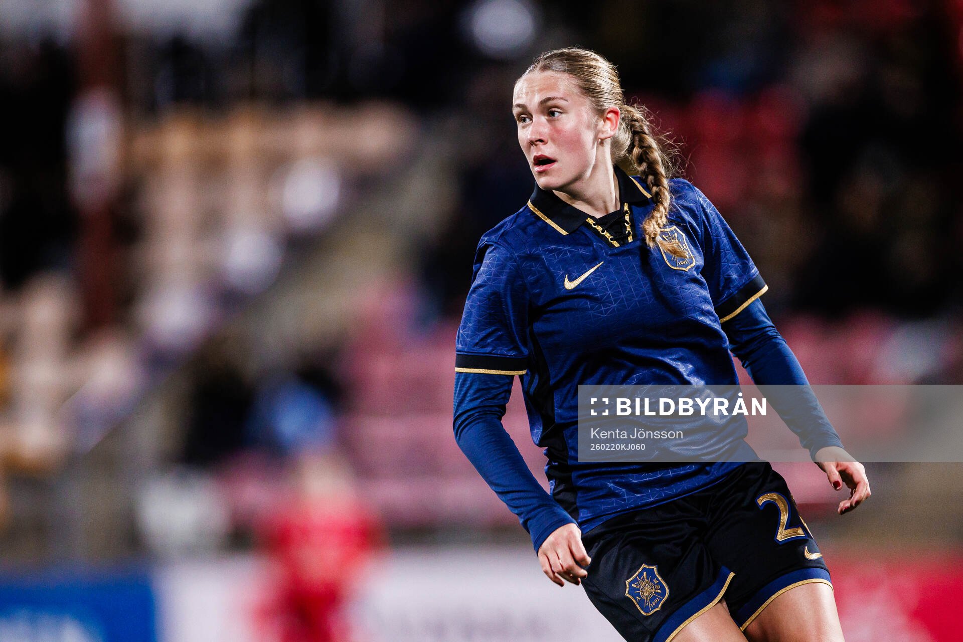 AIKs Aleksandra Bogucka