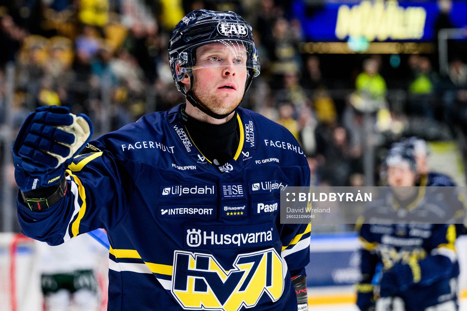 HV71s Oskar Stål-Lyrenäs jublar