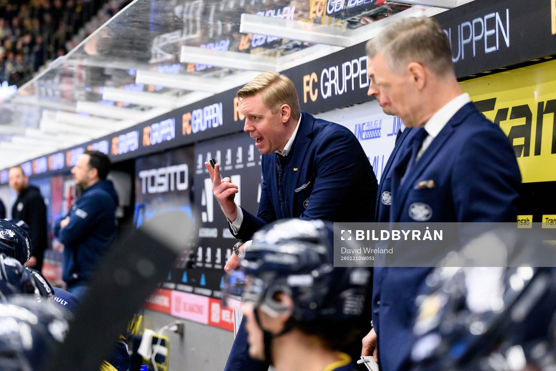 HV71s tränare Anton Blomqvist
