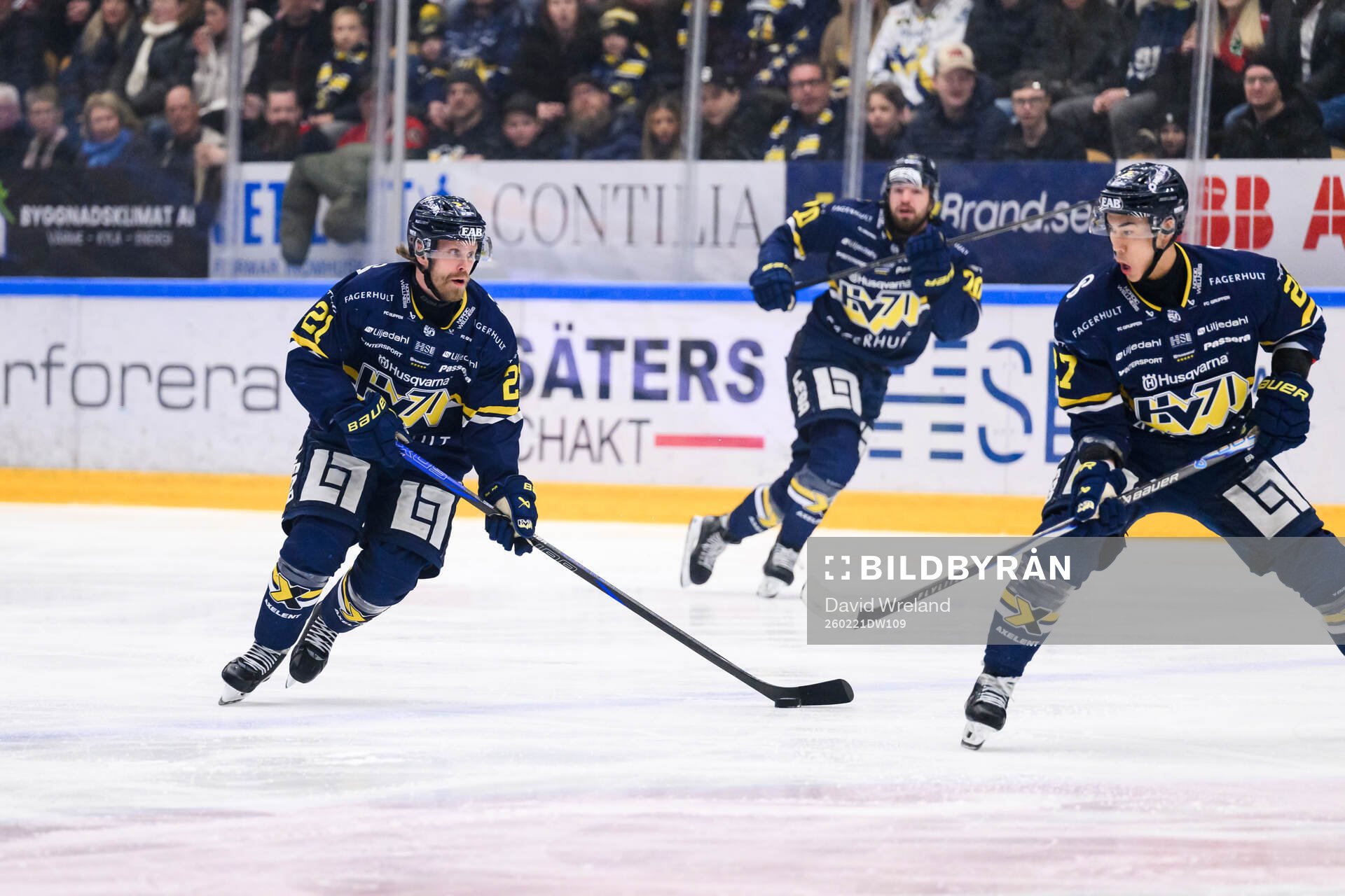 HV71s Mattias Tedenby