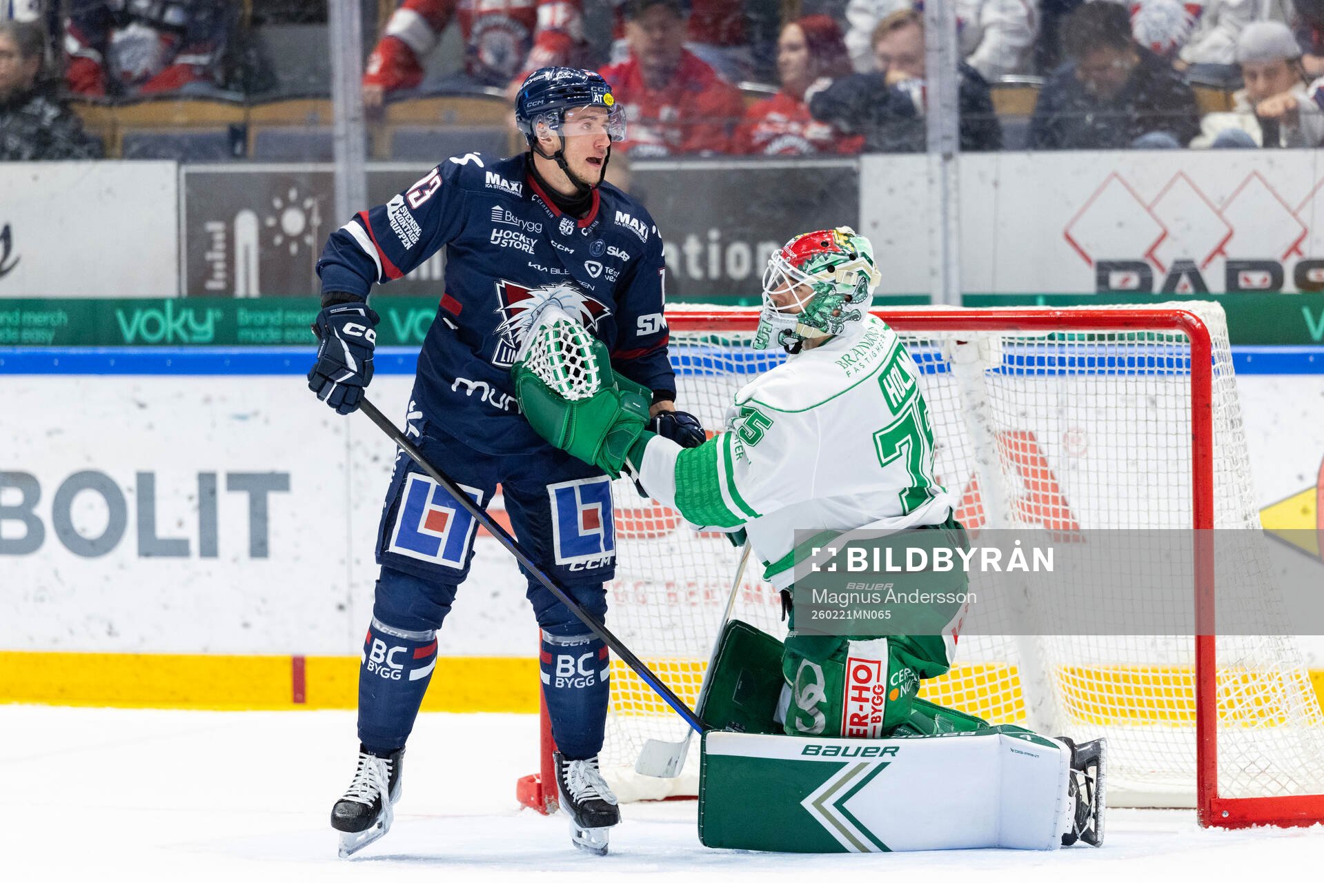 Linköpings Jakub Vrana och Rögles målvakt Arvid Holm