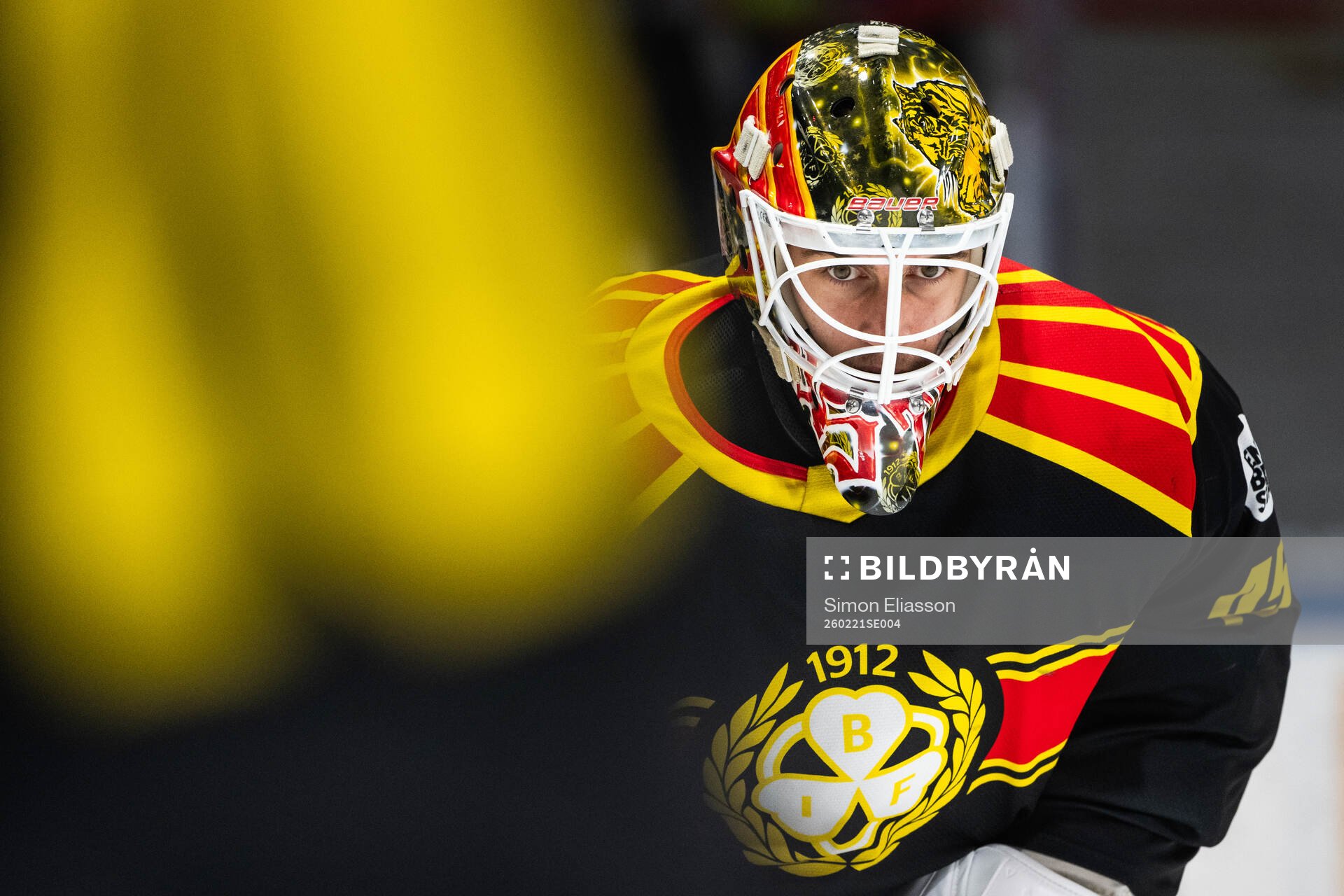 Brynäs målvakt Damian Clara