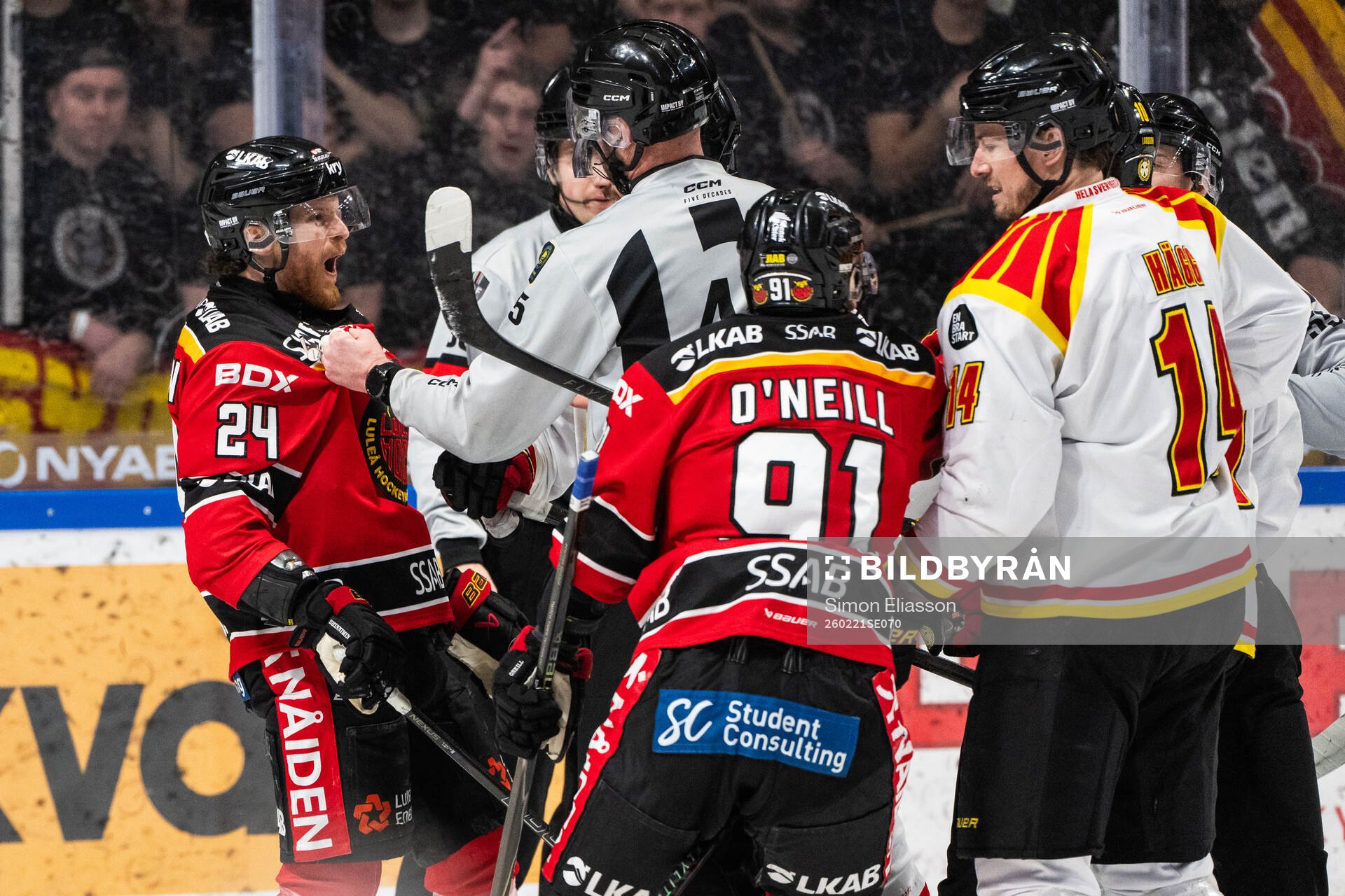 Luleås Brendan Shinnimin och Brynäs Robert Hägg