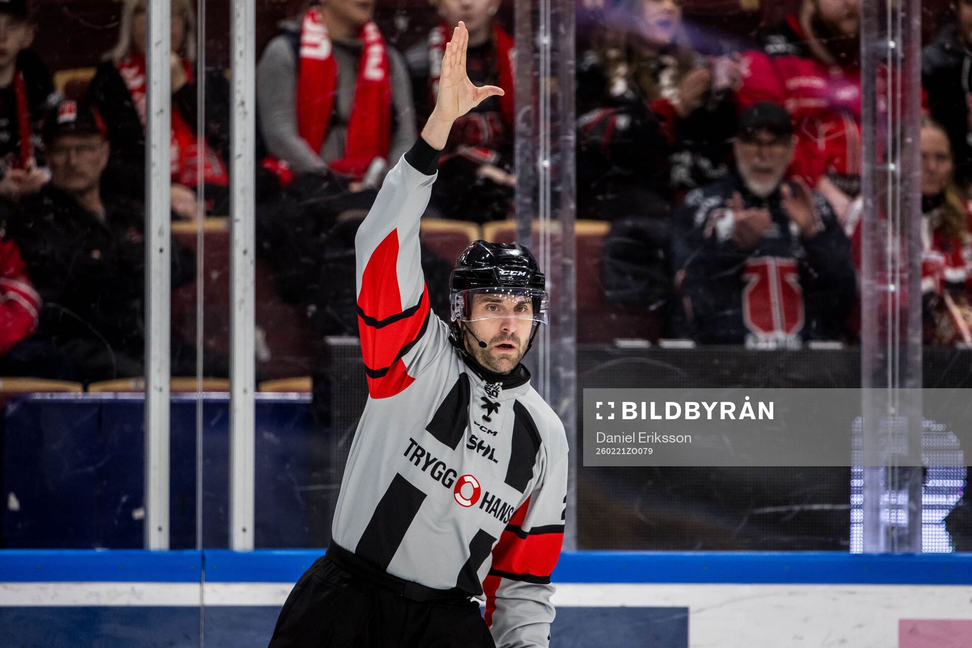 Domare Mikael Sjöqvist
