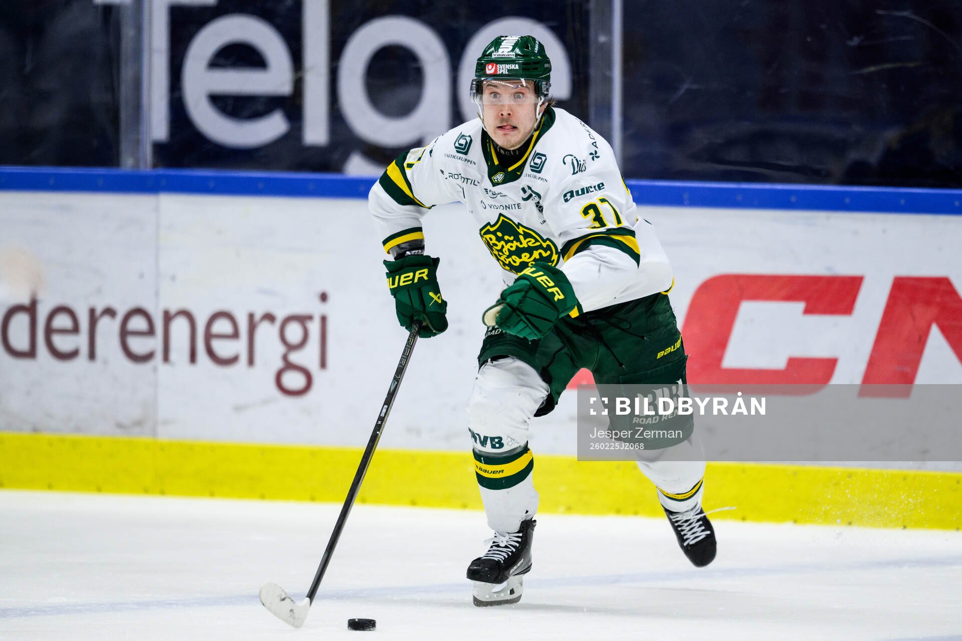 Björklövens Lenni Killinen
