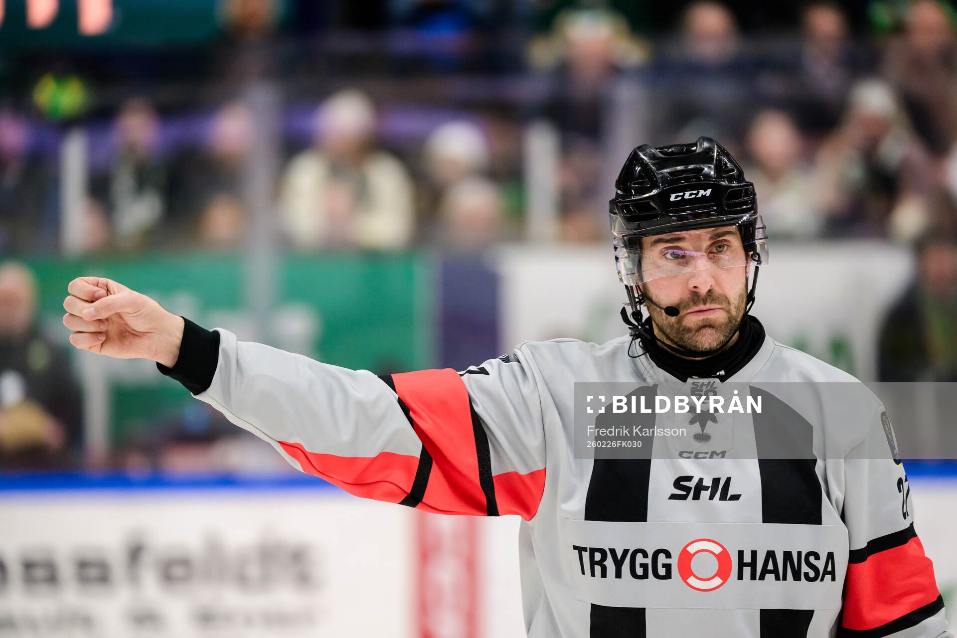 Domare Mikael Sjöqvist