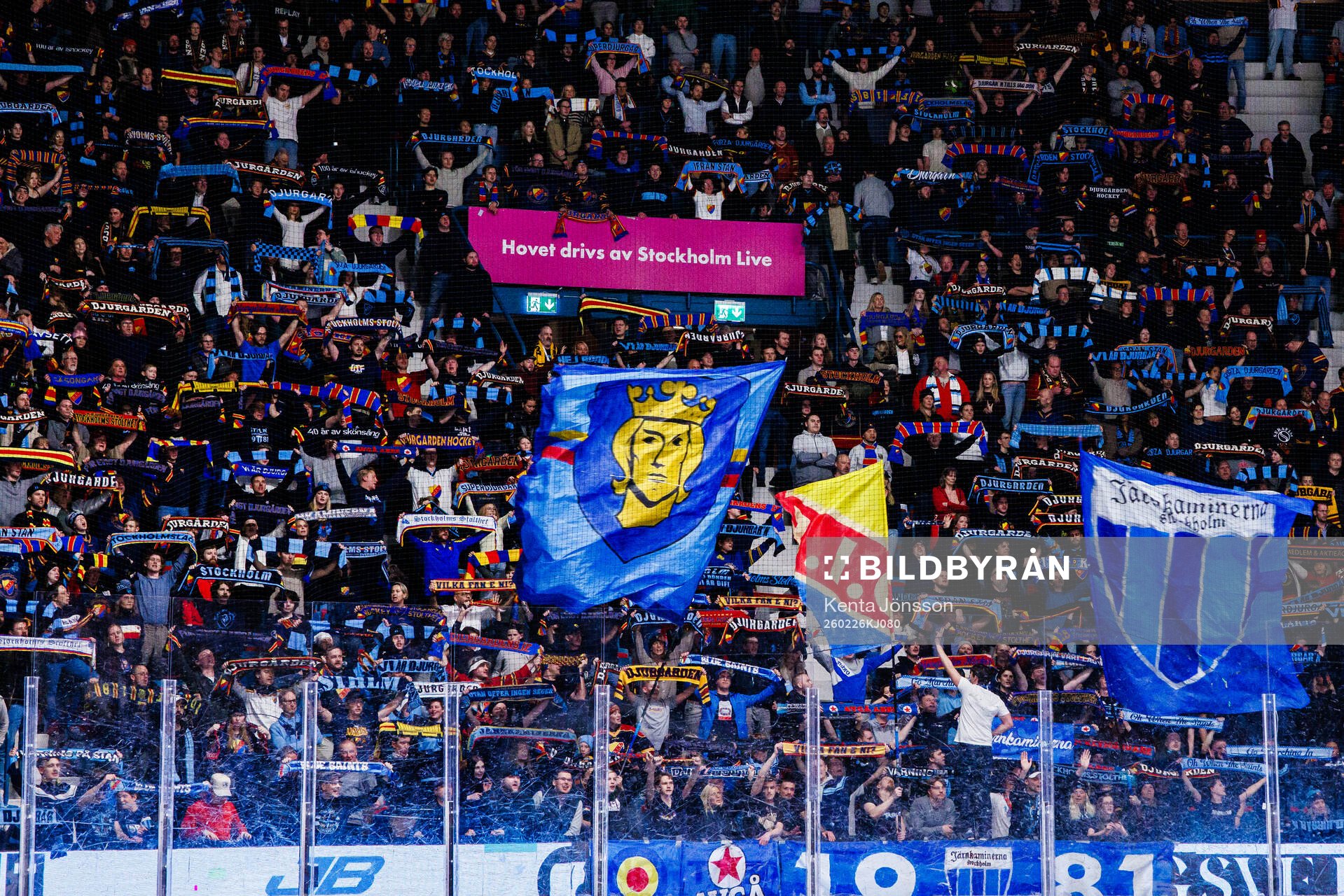 Djurgårdens supportrar