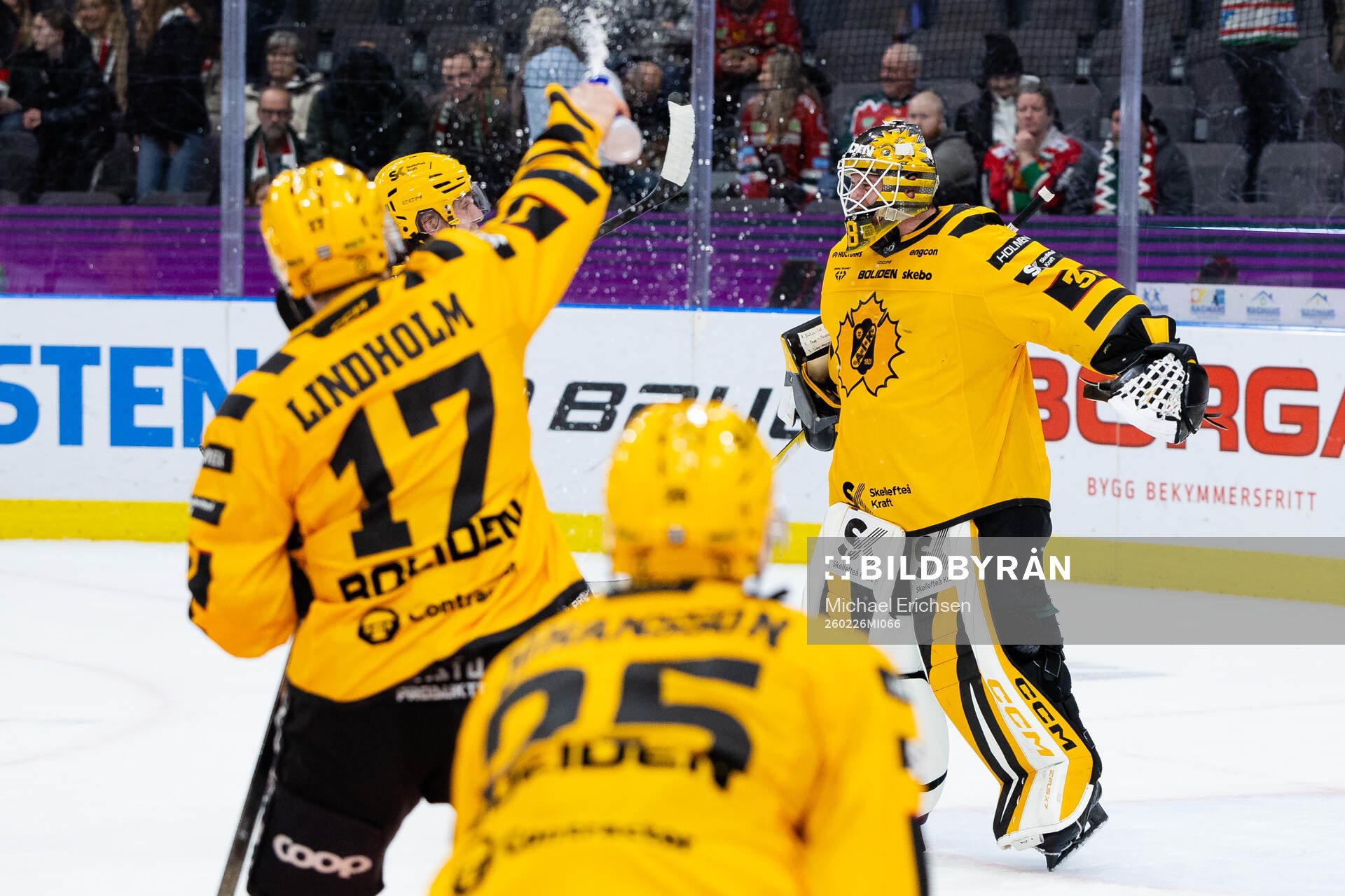 Skellefteås målvakt Strauss Mann jublar med lagkamrater