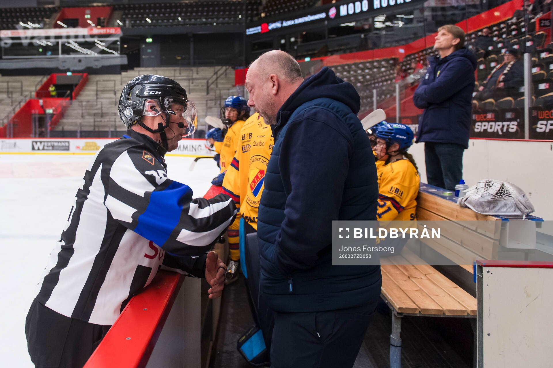 Djurgårdens tränare Rickard Hårdstam