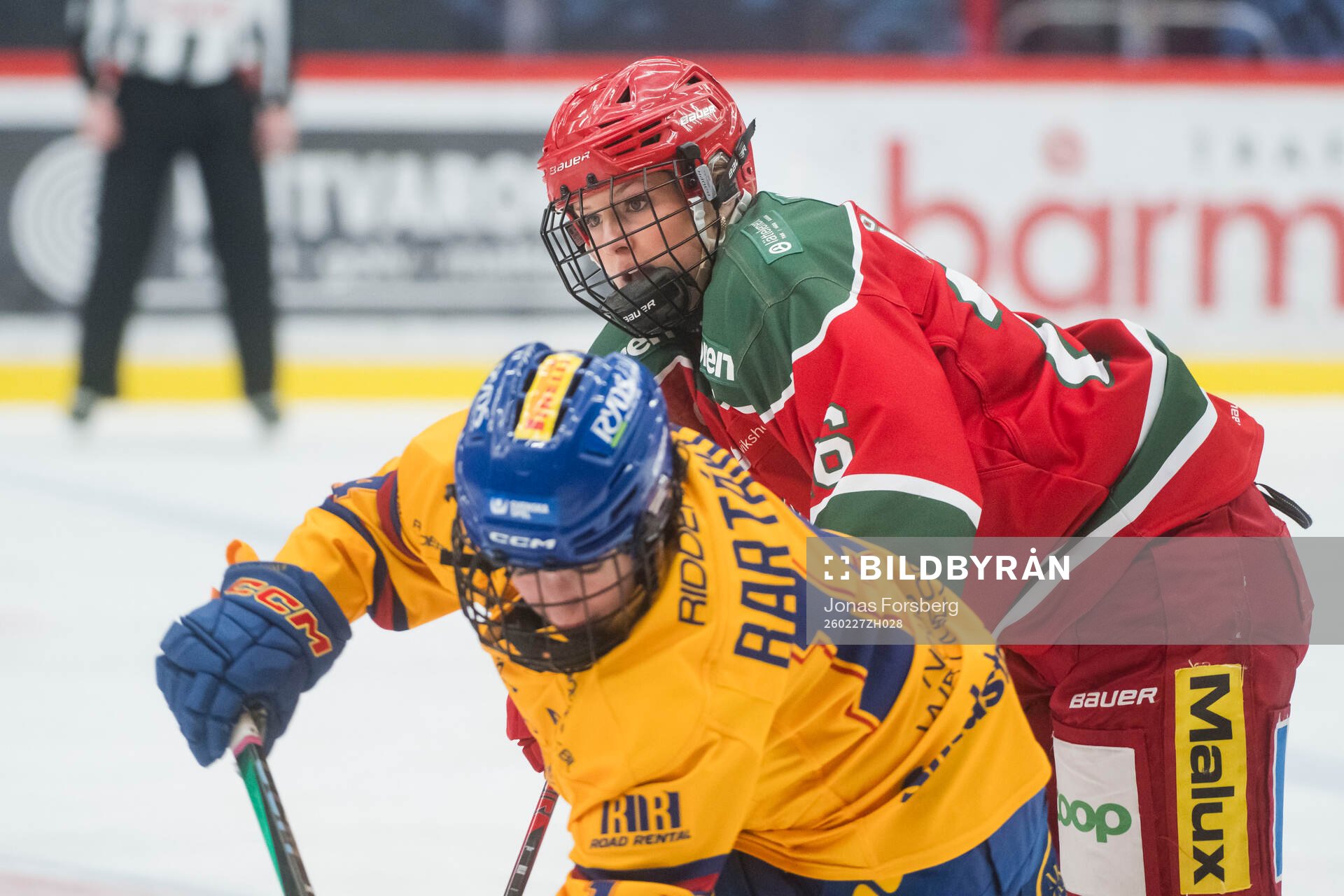 Modos Maja Åkerlund