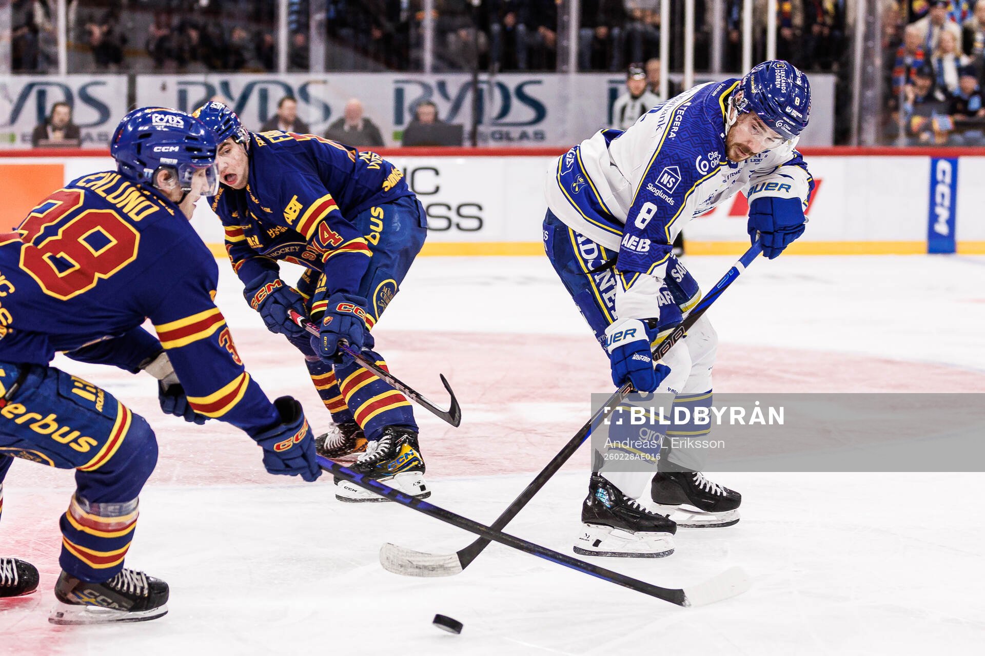 Leksands Matt Caito