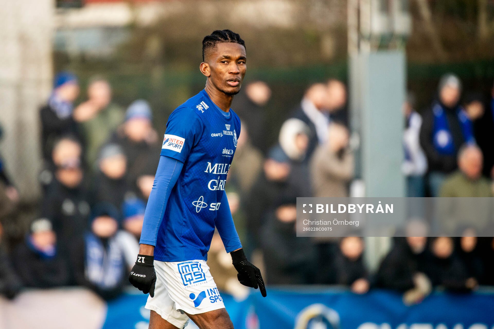 Trelleborgs Prince Balde