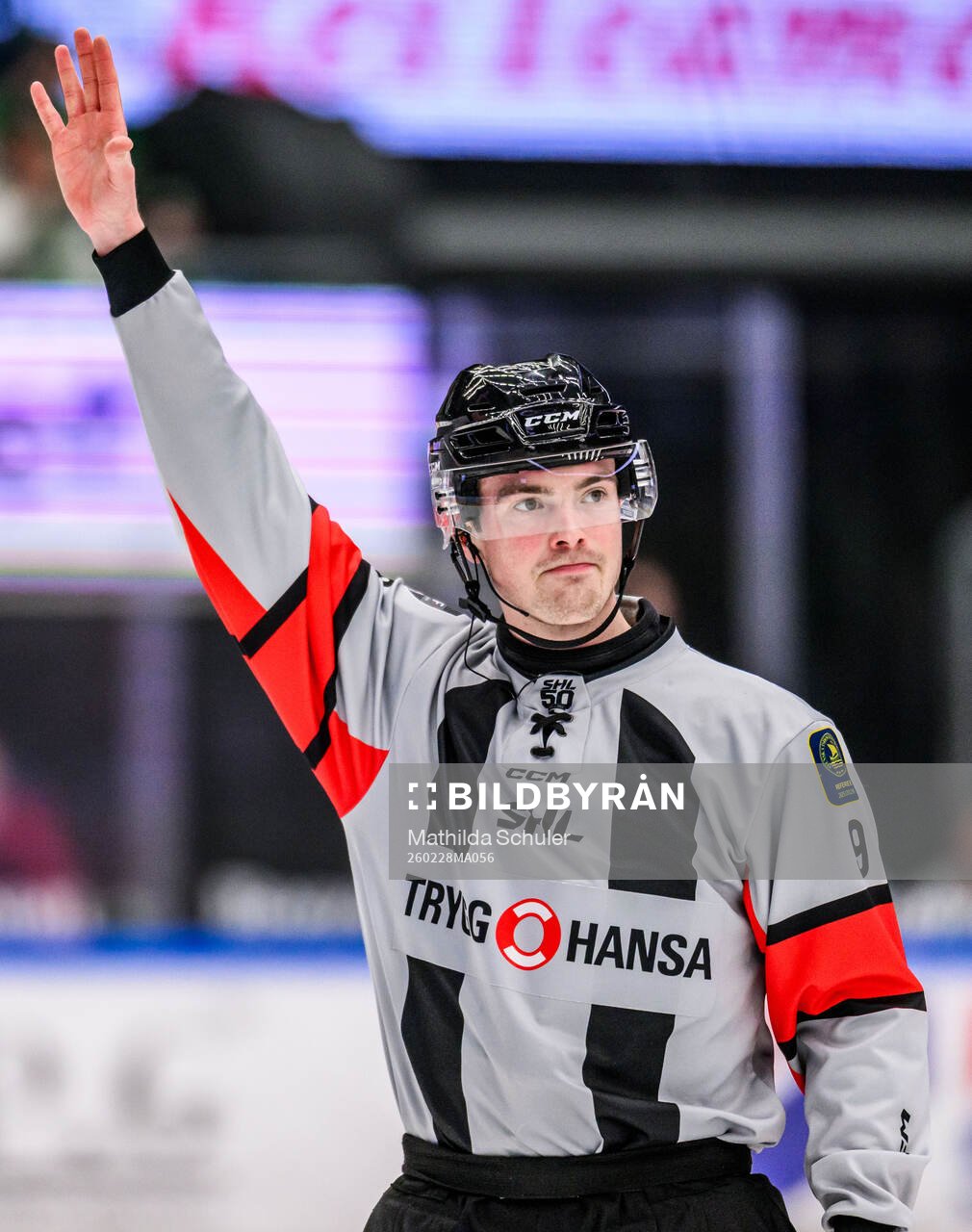 Domare Filip Eriksson