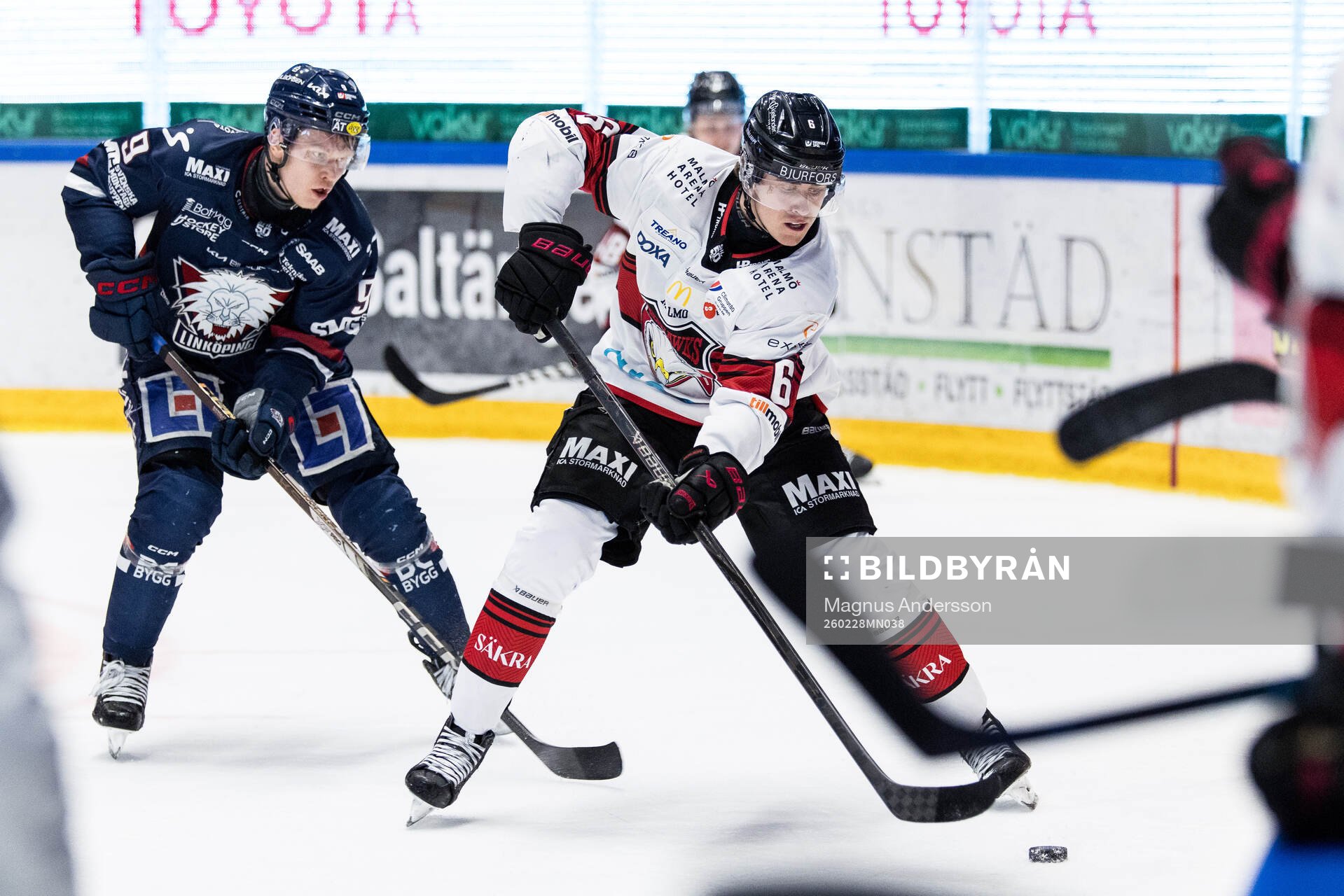 Linköpings Erik Norén och Malmö Redhawks Eemil Viro