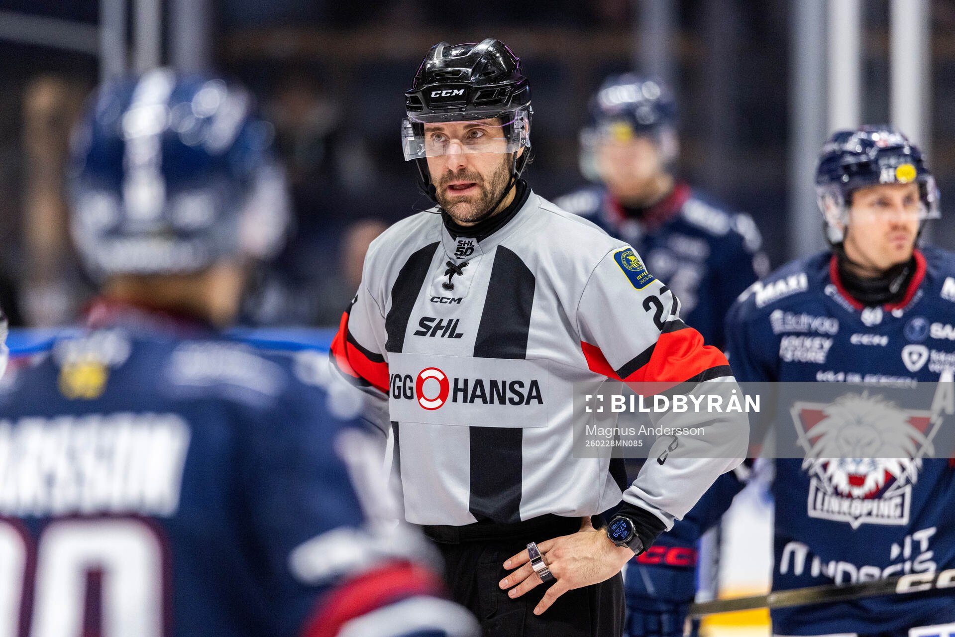 Domare Mikael Sjöqvist
