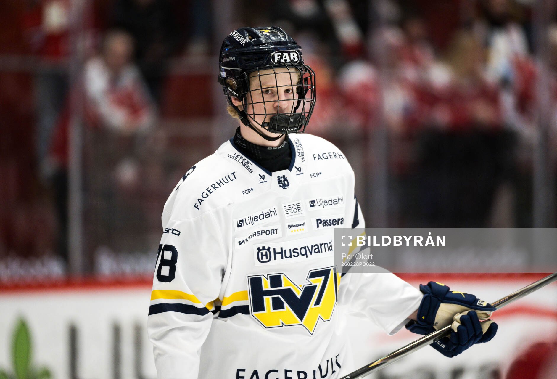 HV71s Malte Gustafsson