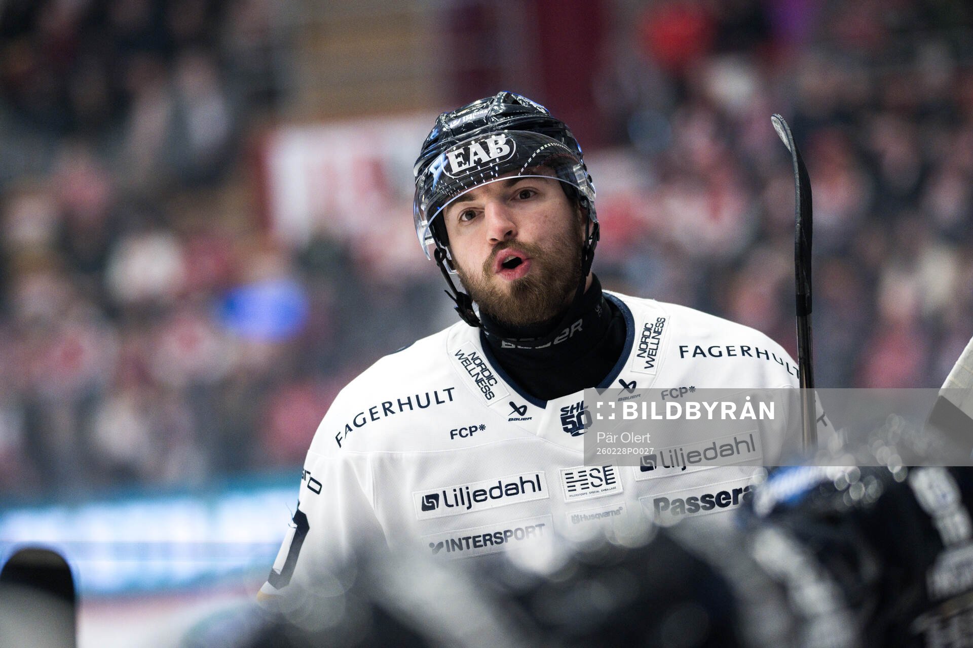 HV71s Lukas Rousek