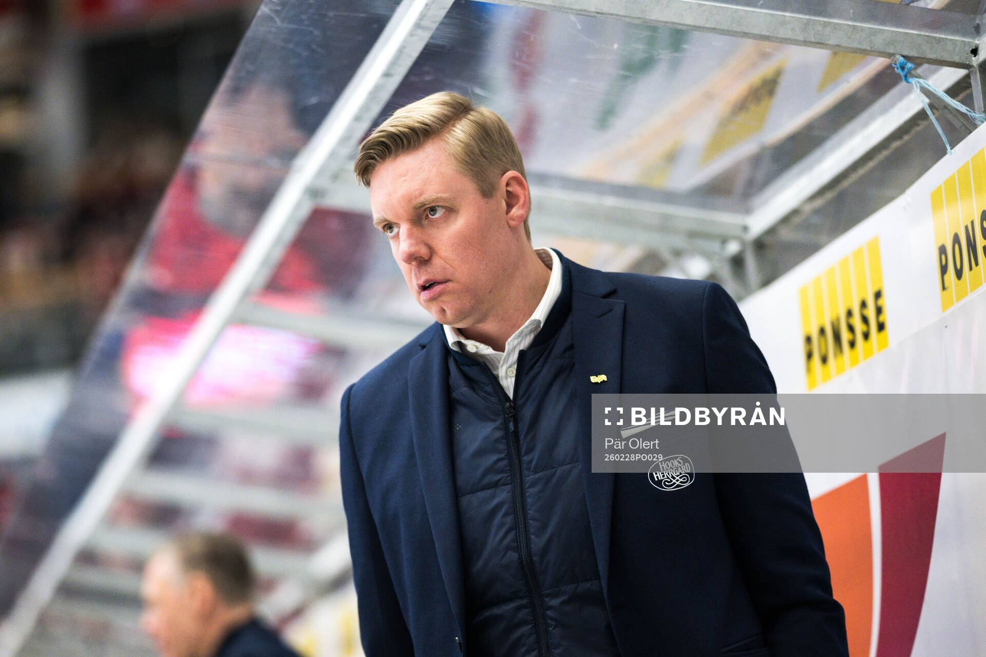 HV71s tränare Anton Blomqvist