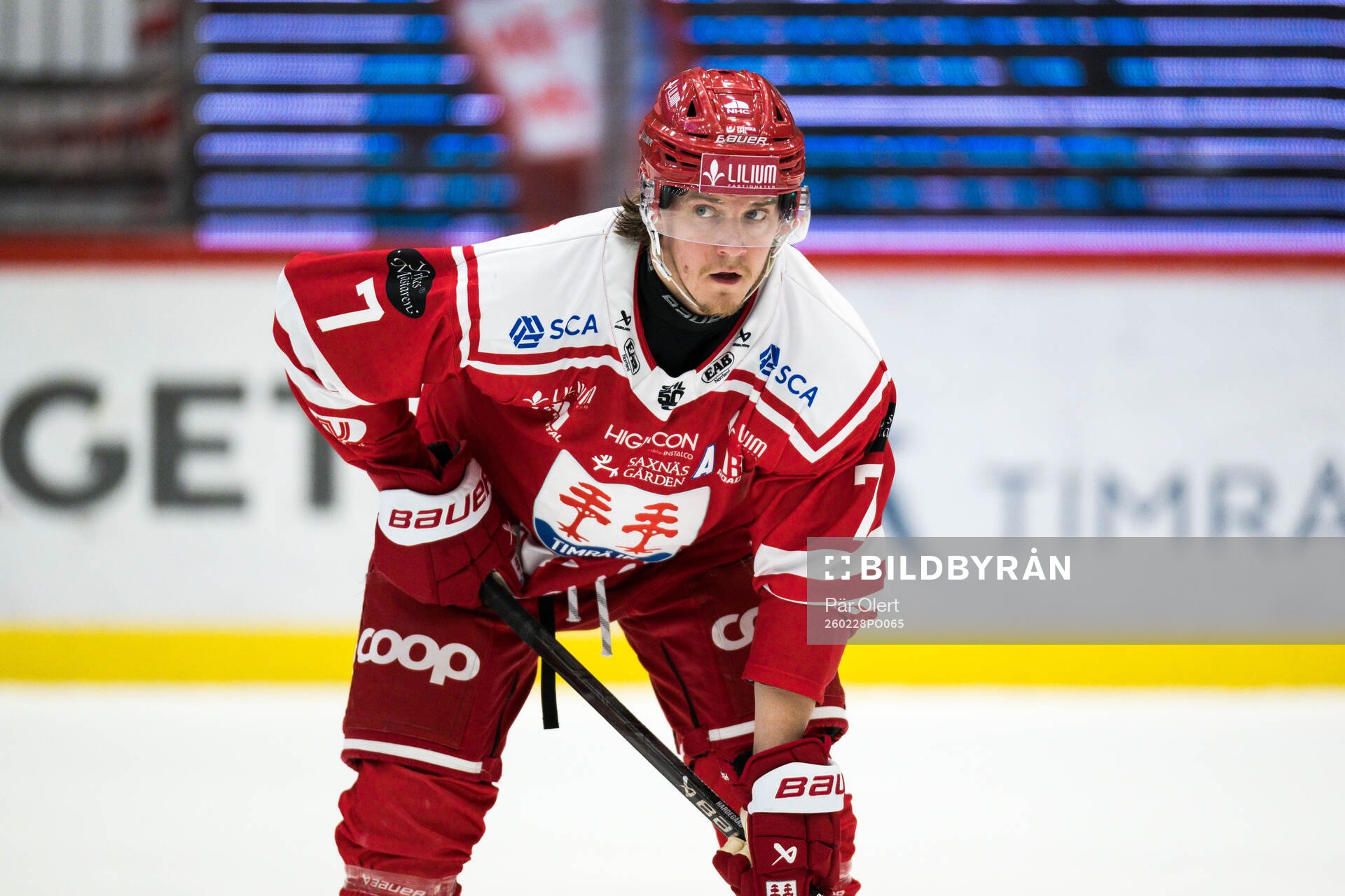 Timrås Marcus Hardegård