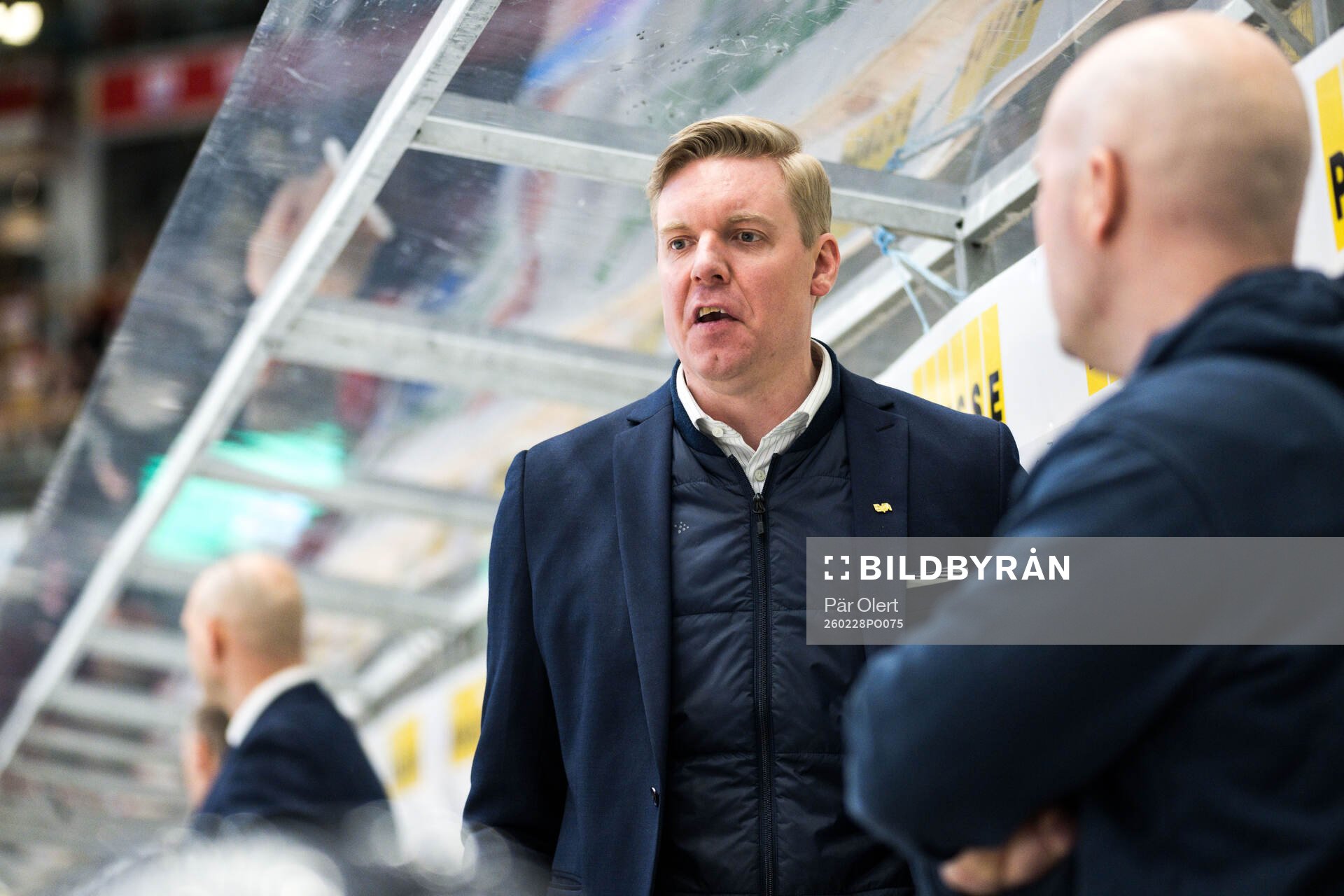HV71s tränare Anton Blomqvist