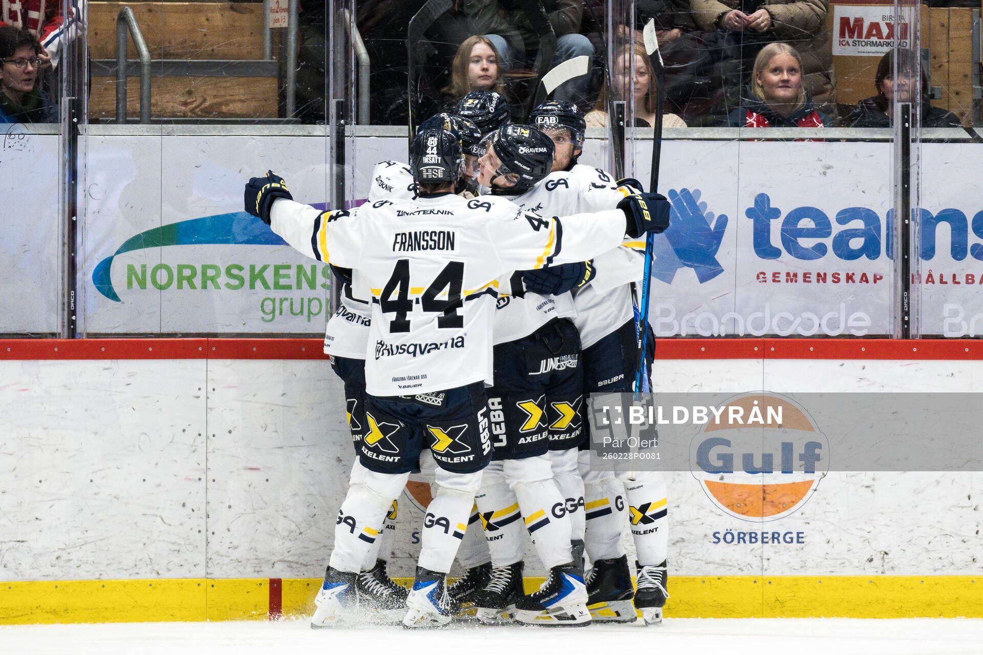HV71s Hampus Eriksson jublar
