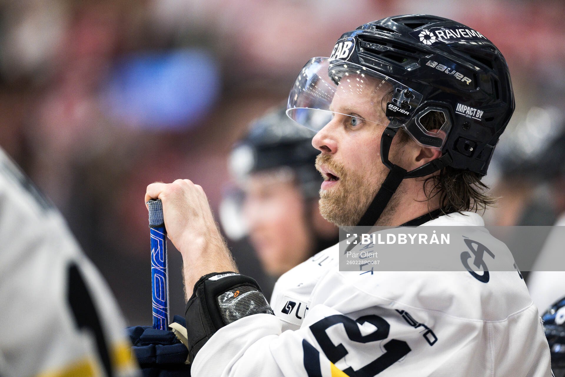 HV71s Mattias Tedenby