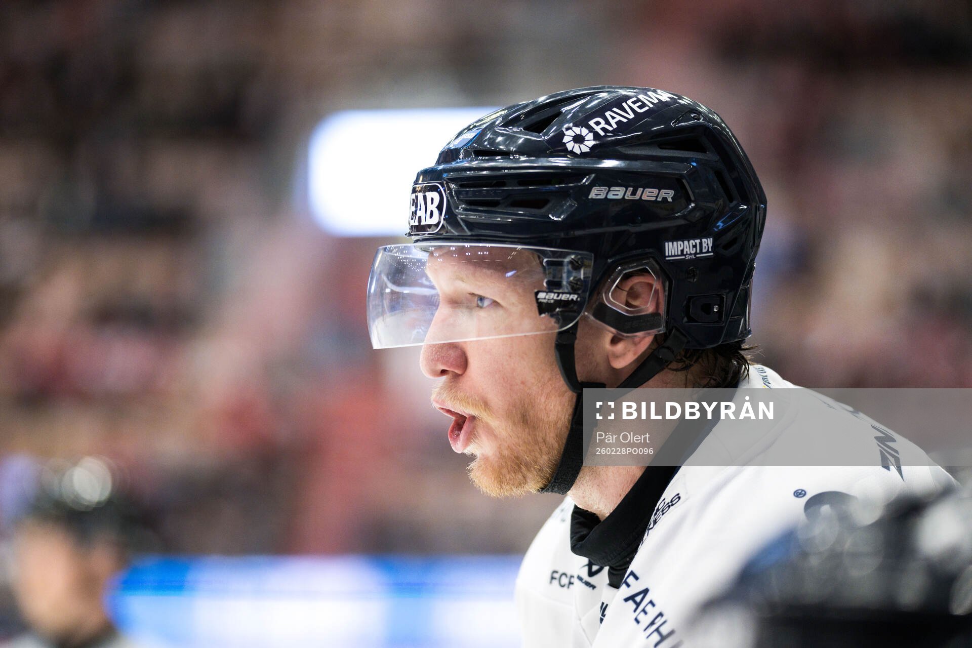 HV71s Andreas Borgman
