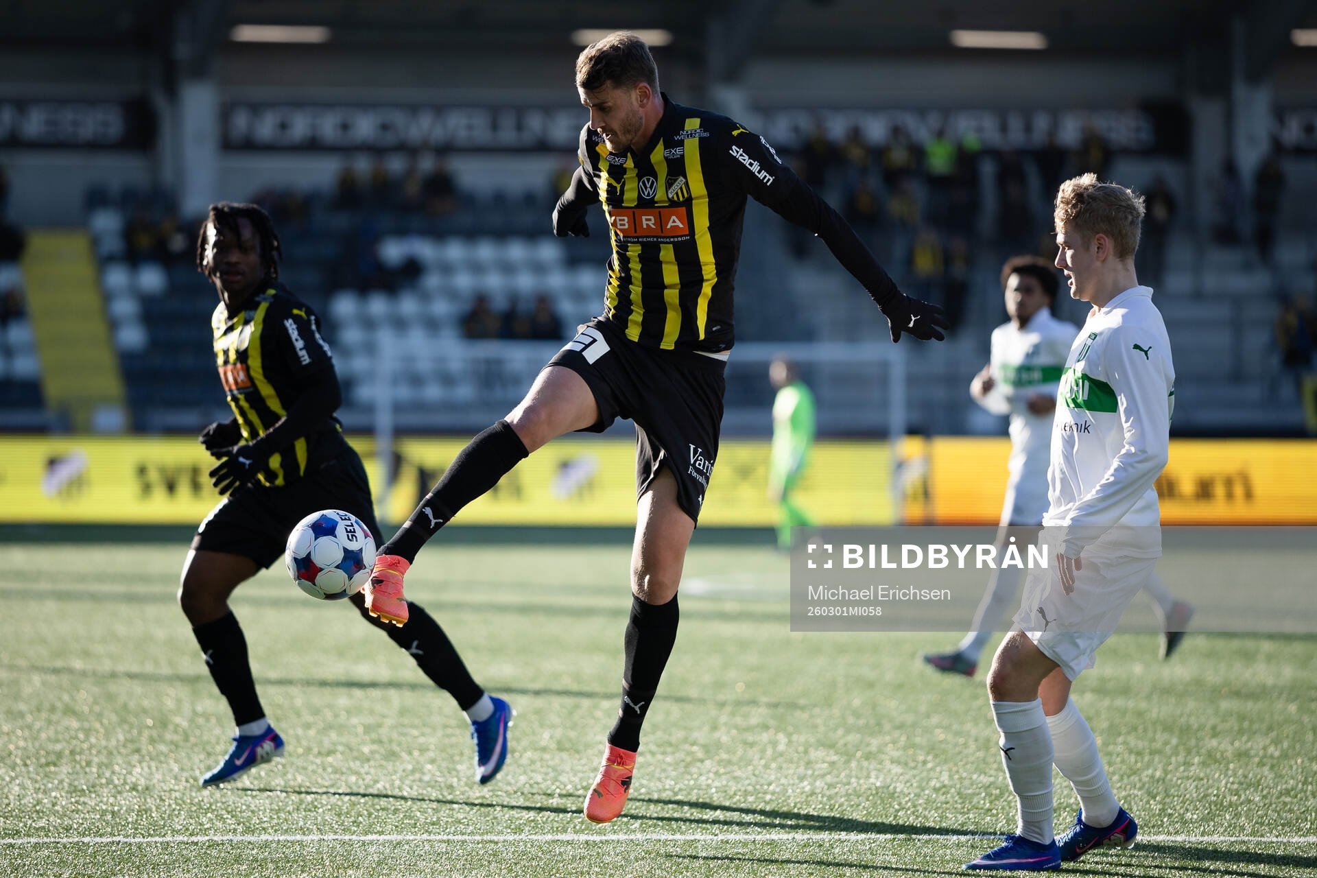 Häckens Johan Hammar