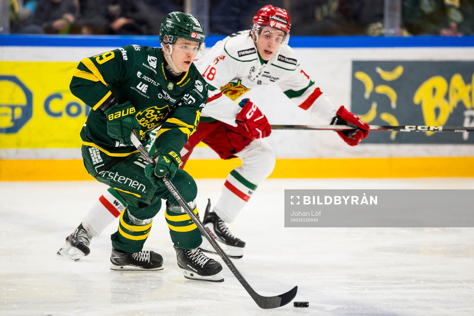 Björklövens Liam Dower Nilsson