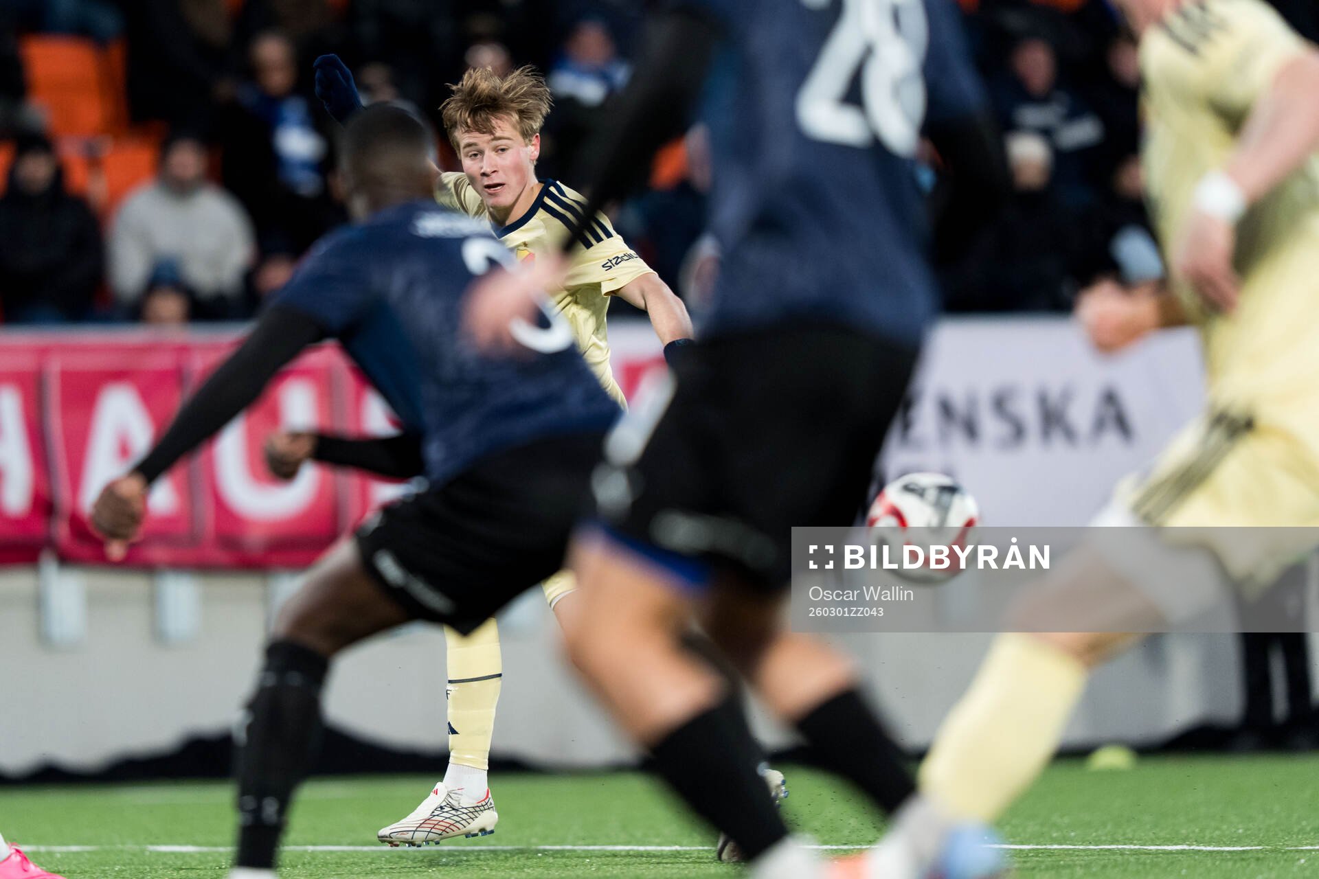 Djurgårdens Bo Hegland