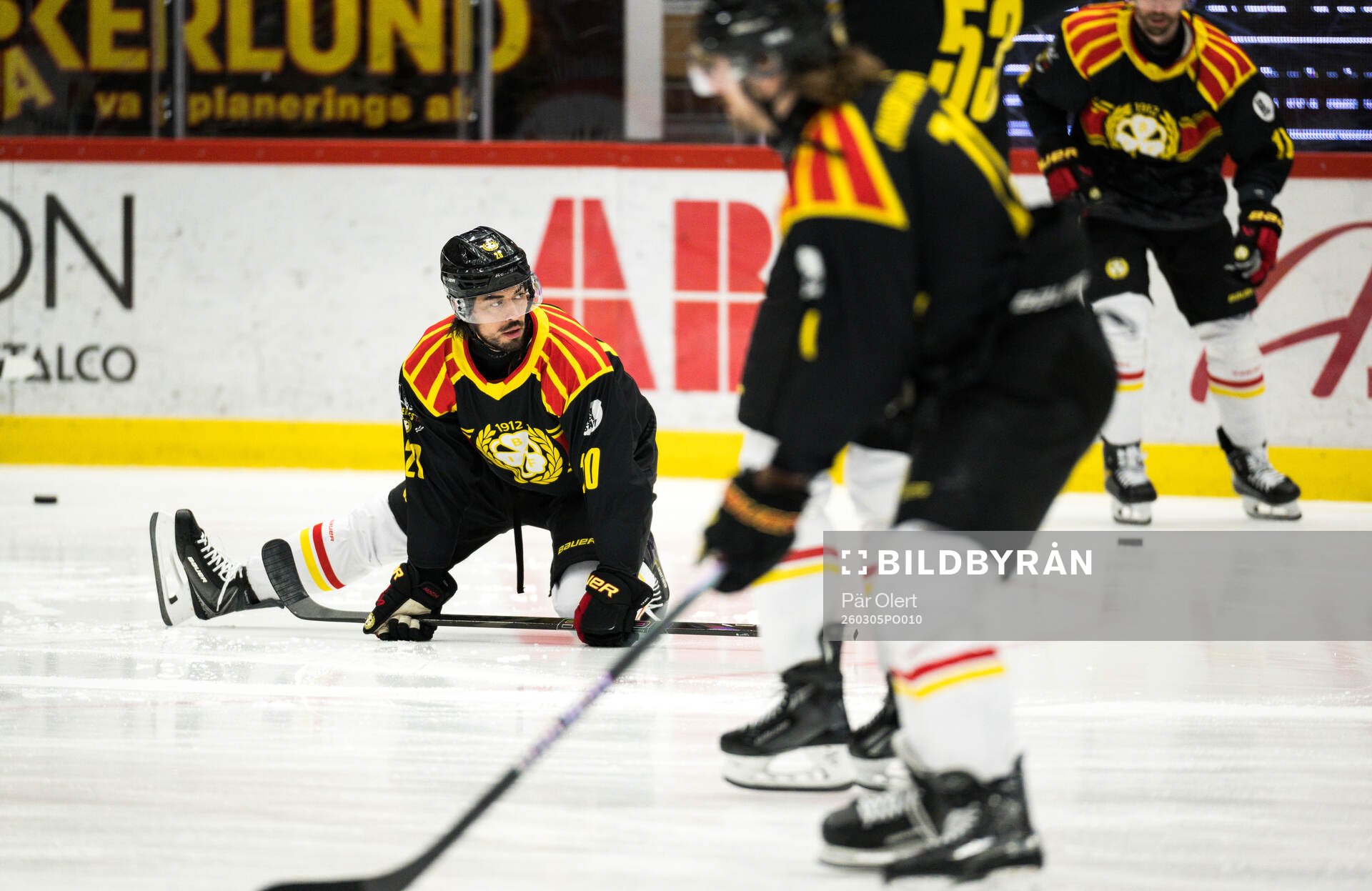 Brynäs Tyler Vesel