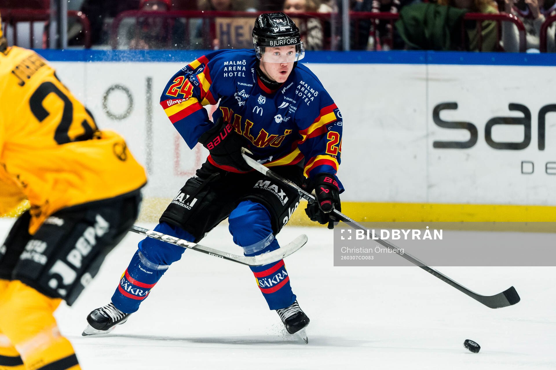 Malmö Redhawks Filip Björkman