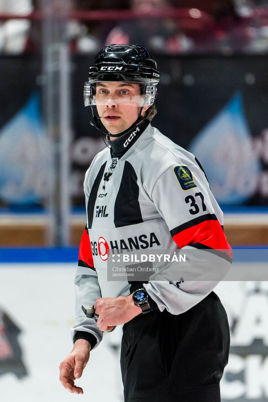 Domare Johan Wedin