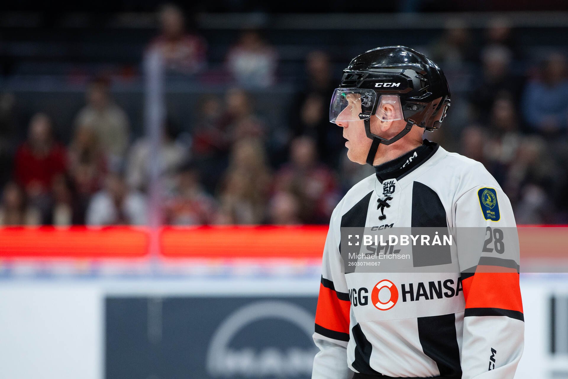Domare Mikael Holm